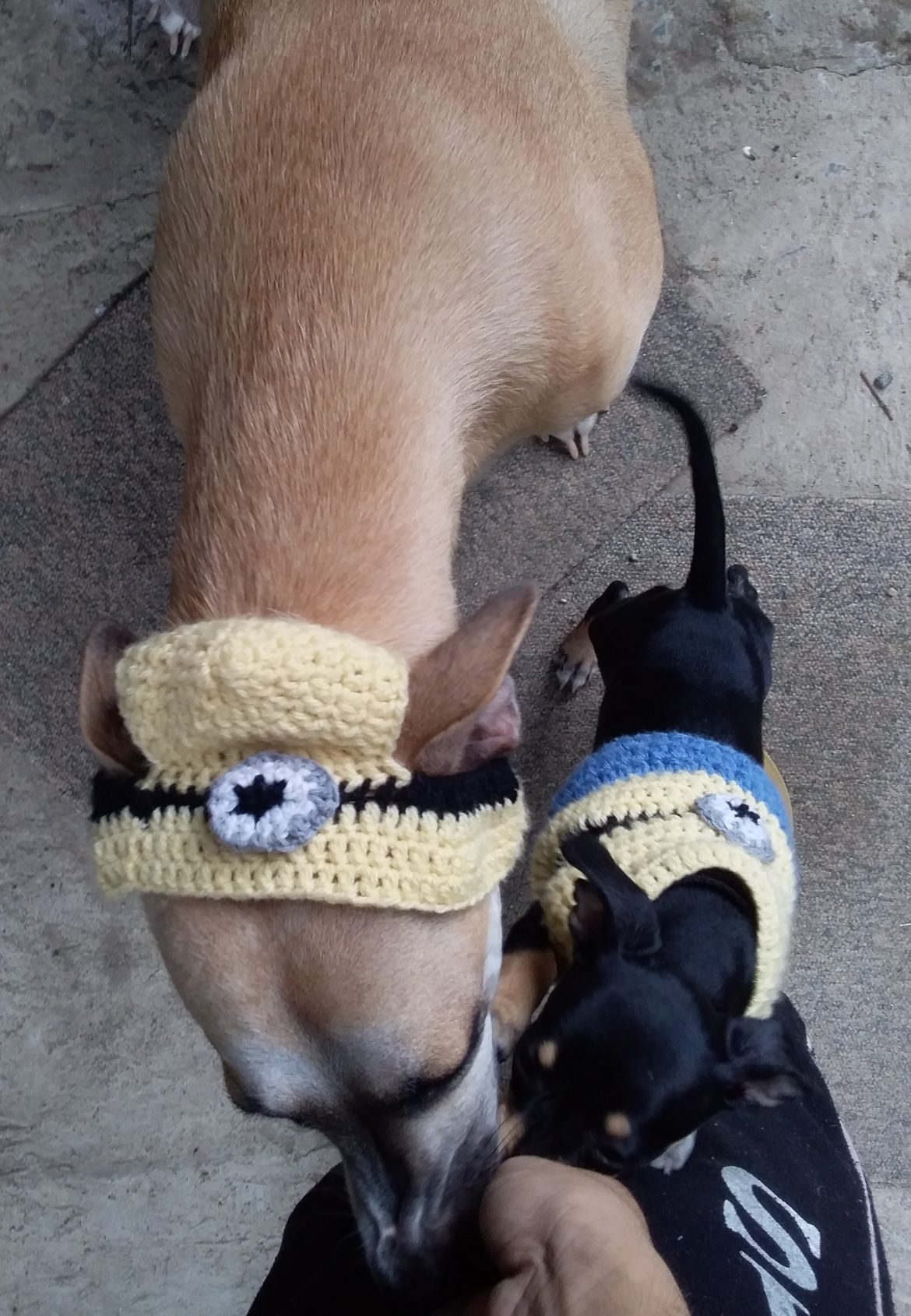 Viva’s Crochet Minion Hat